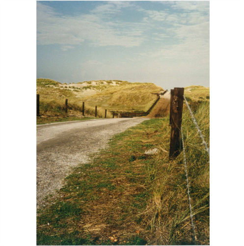 Canvasprint eenkleurig